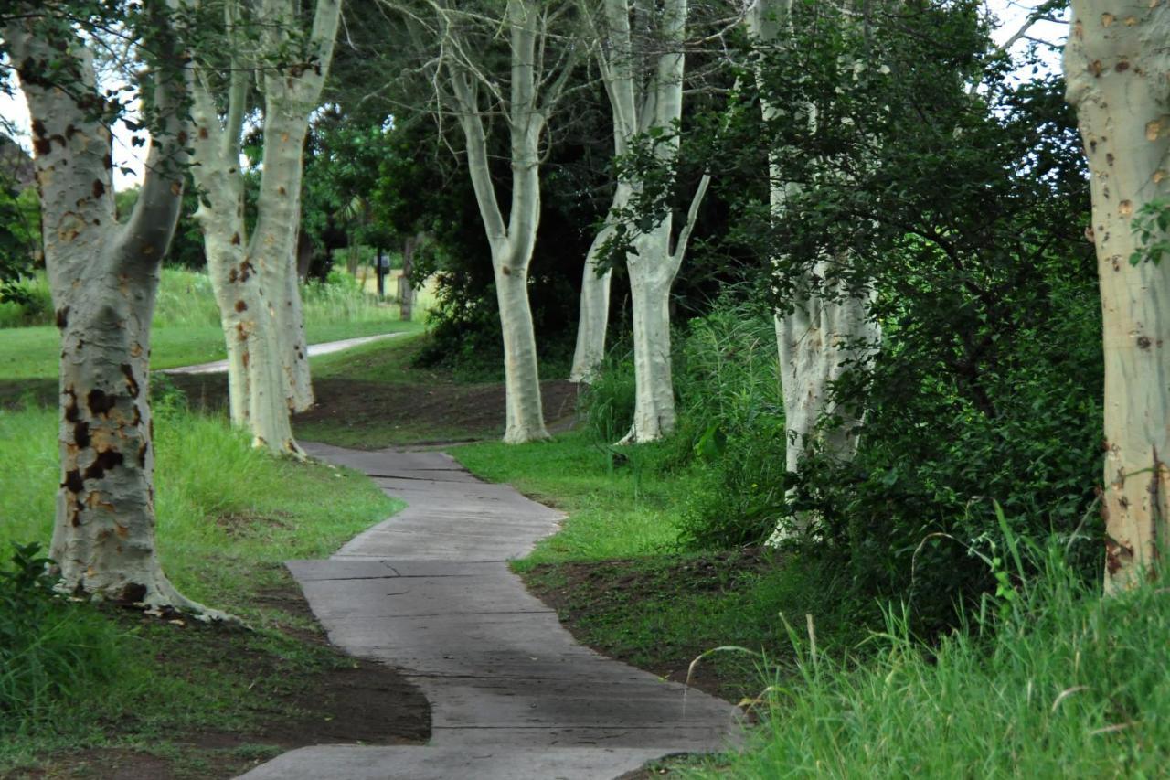 Kruger Park Lodge Unit No. 608B 雾观 外观 照片